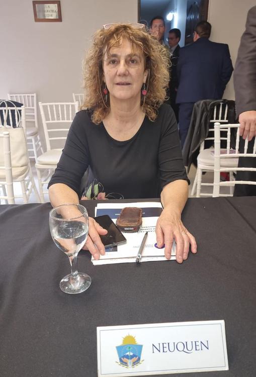 gonzalez taboada asamblea 125 fam chaco