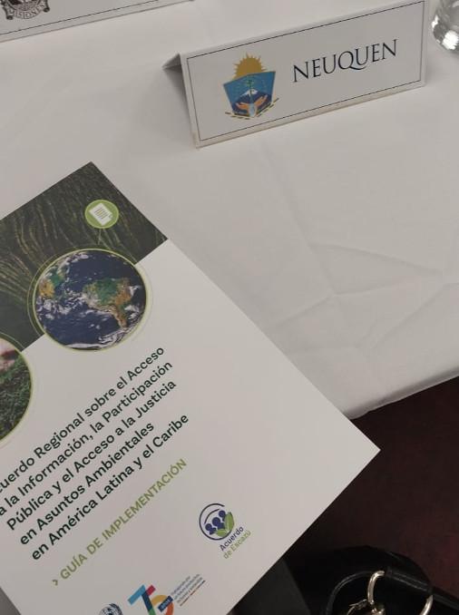 comision ambiente fam participacion neuquen (3)