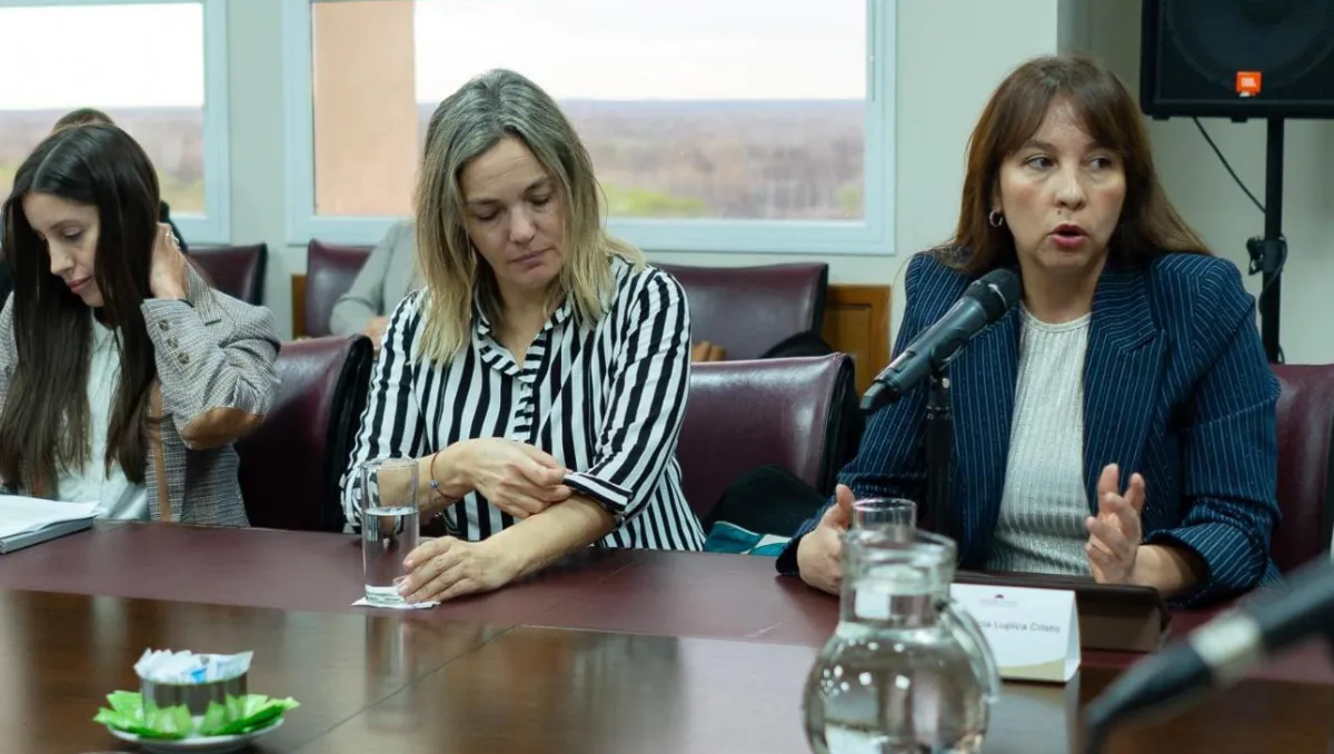 Legislatura Debate Reforma Codigo Familia AMyF (2)