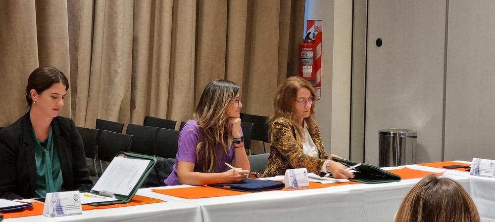 reunion presencial comision secretarios fam viernes salon bpn (16)