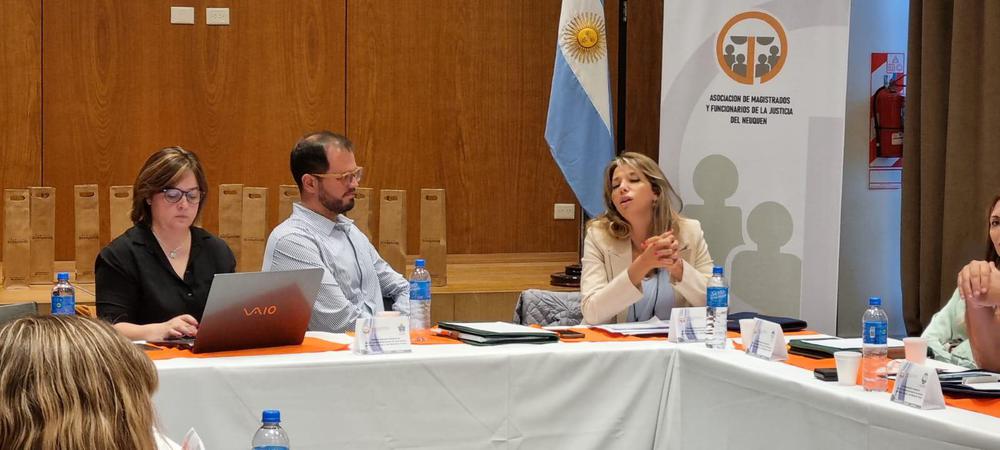 reunion presencial comision secretarios fam viernes salon bpn (7)