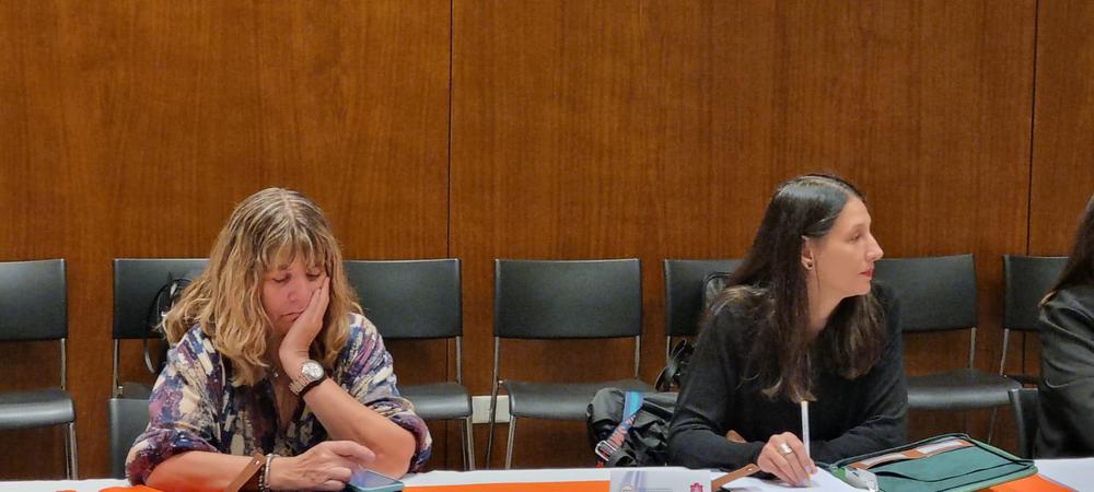 reunion presencial comision secretarios fam viernes salon bpn (11)