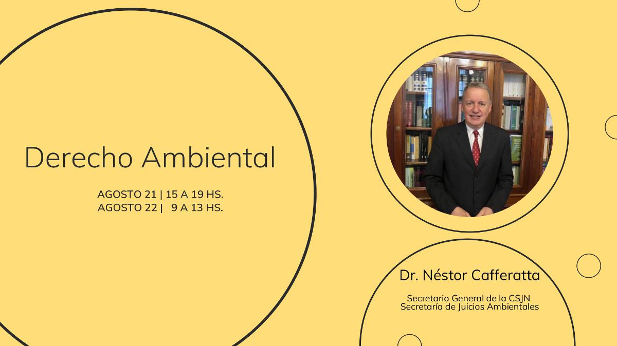 derecho ambiental 01