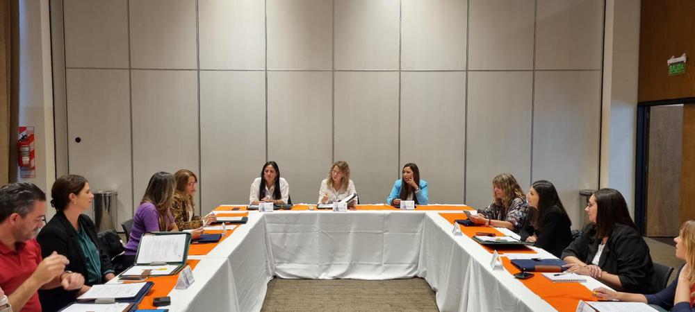 reunion presencial comision secretarios fam viernes salon bpn (15)