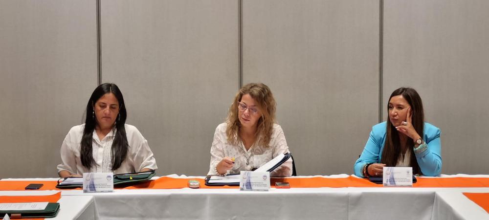 reunion presencial comision secretarios fam viernes salon bpn (13)